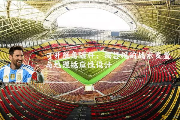 可升降角旗杆:被忽视的战术变量与地理适应性设计